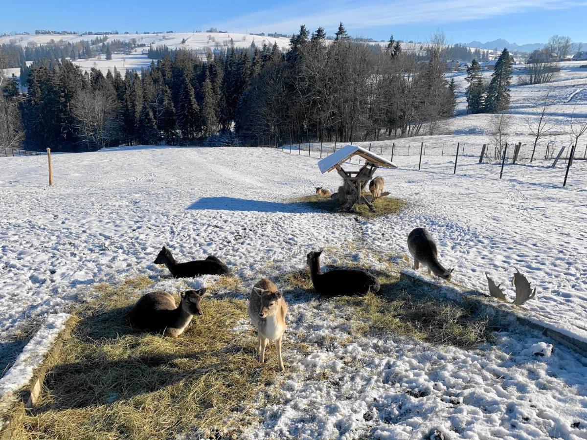 Osrodek Wypoczynkowy U Bartka Bed & Breakfast Czerwienne Eksteriør bilde